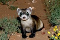 /album/fotogaleria/imagesca7sjkze-jpg/
